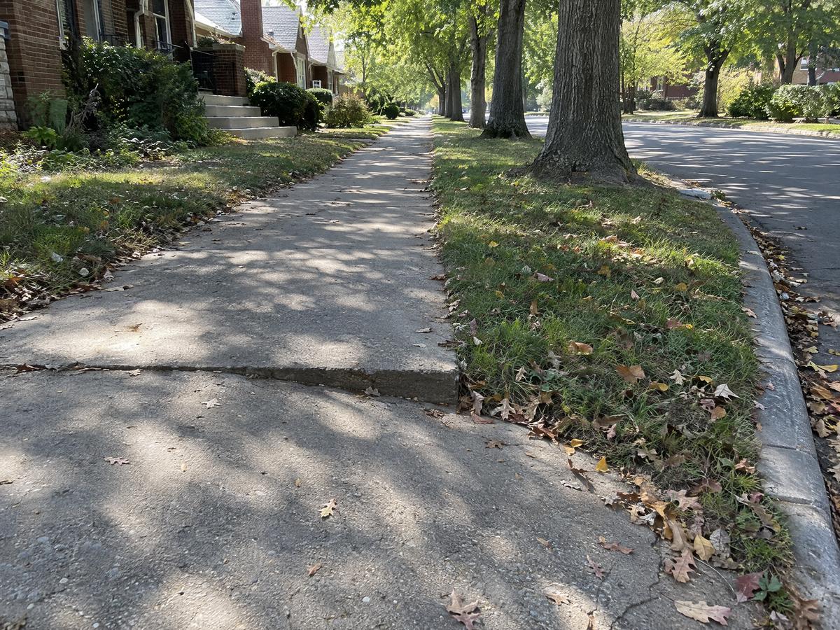 An old public sidewalk under big street trees where one panel has sunk below the next, leaving a trip edge, with brick houses behind